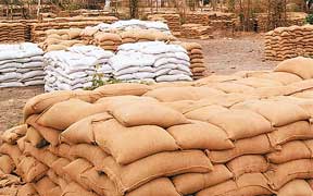 गेहूं खरीदी केंद्रों पर विवादों का साया