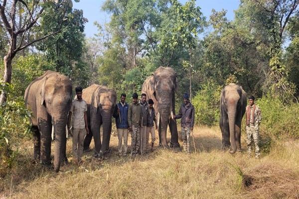 सतपुड़ा टाइगर रिजर्व में शामिल हुए कर्नाटक से आए नए नागरिक