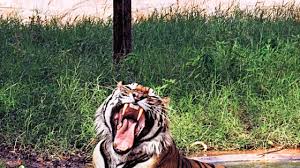 केरवा-कोलार-कलियासोत 