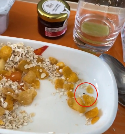  खाने में मिला कीड़ा 