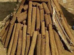 bhopal,  cow-wood and tubers , Holika Dahan